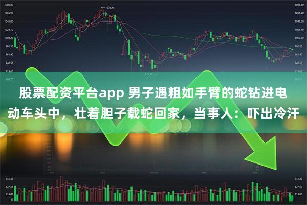 股票配资平台app 男子遇粗如手臂的蛇钻进电动车头中，壮着胆子载蛇回家，当事人：吓出冷汗